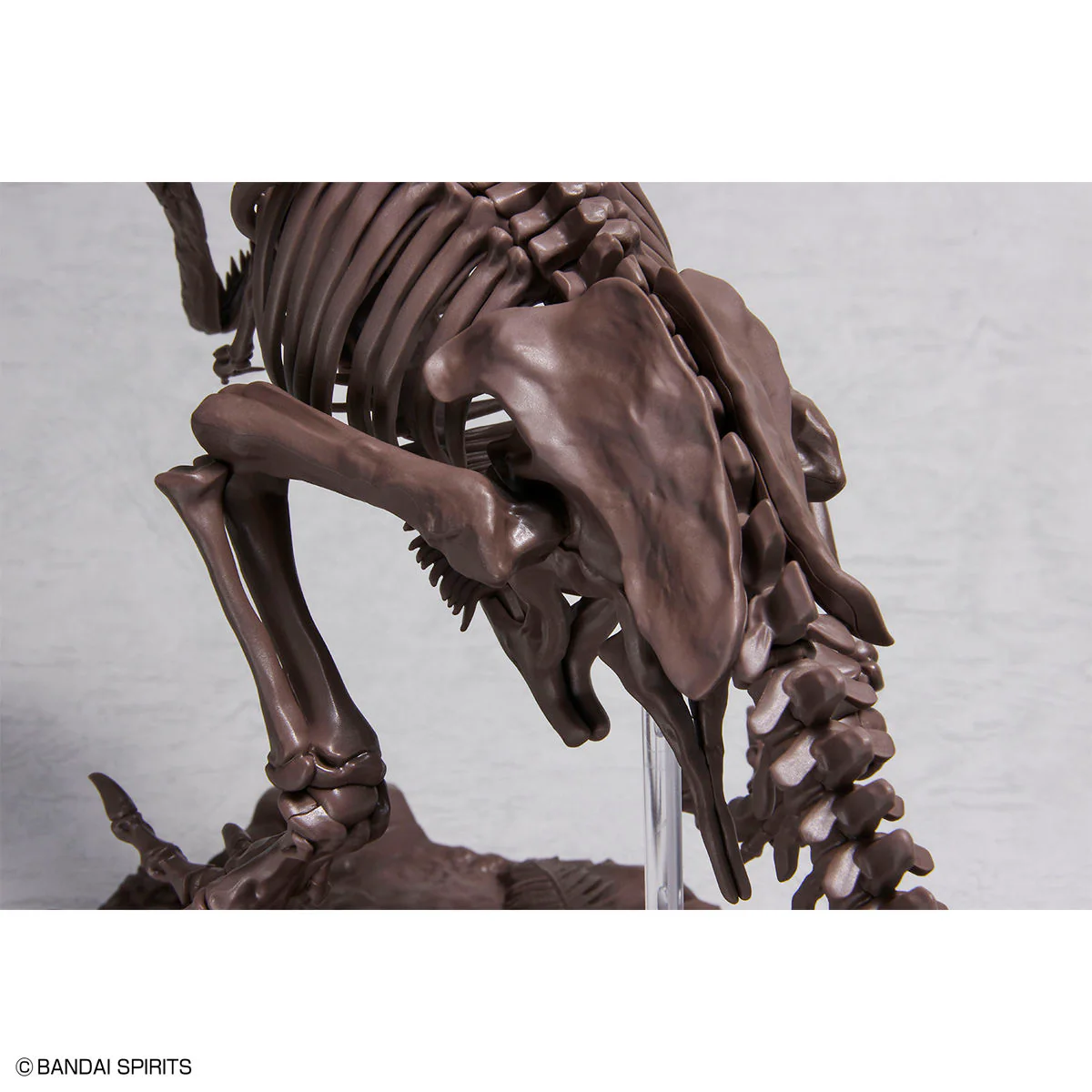 Imaginary Skeleton Tyrannosaurus 1/32 Scale Model Kit - Image 5