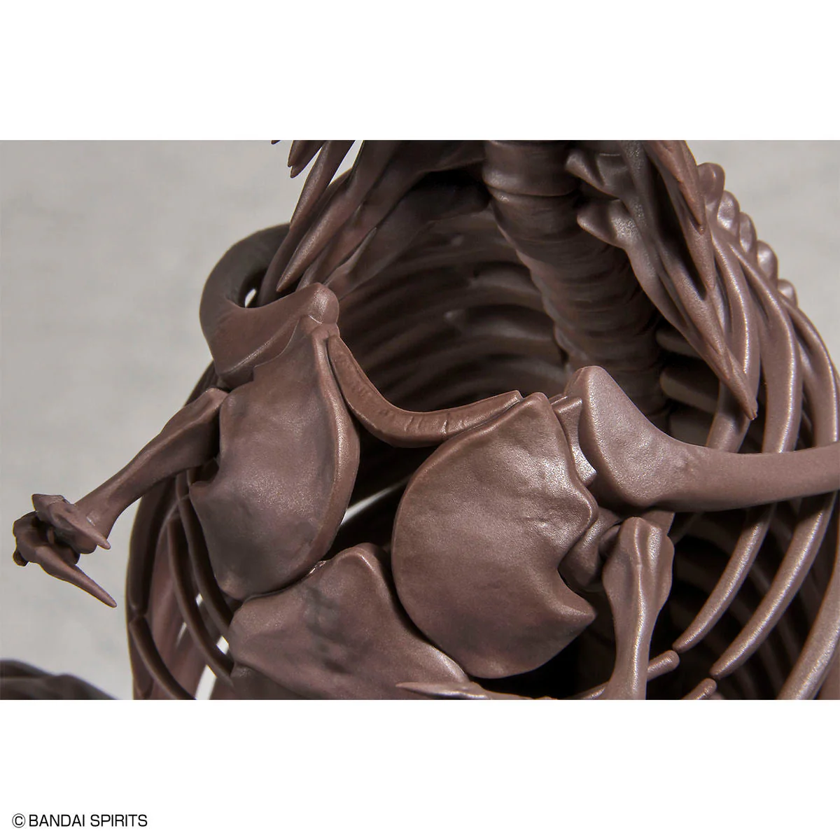 Imaginary Skeleton Tyrannosaurus 1/32 Scale Model Kit - Image 6