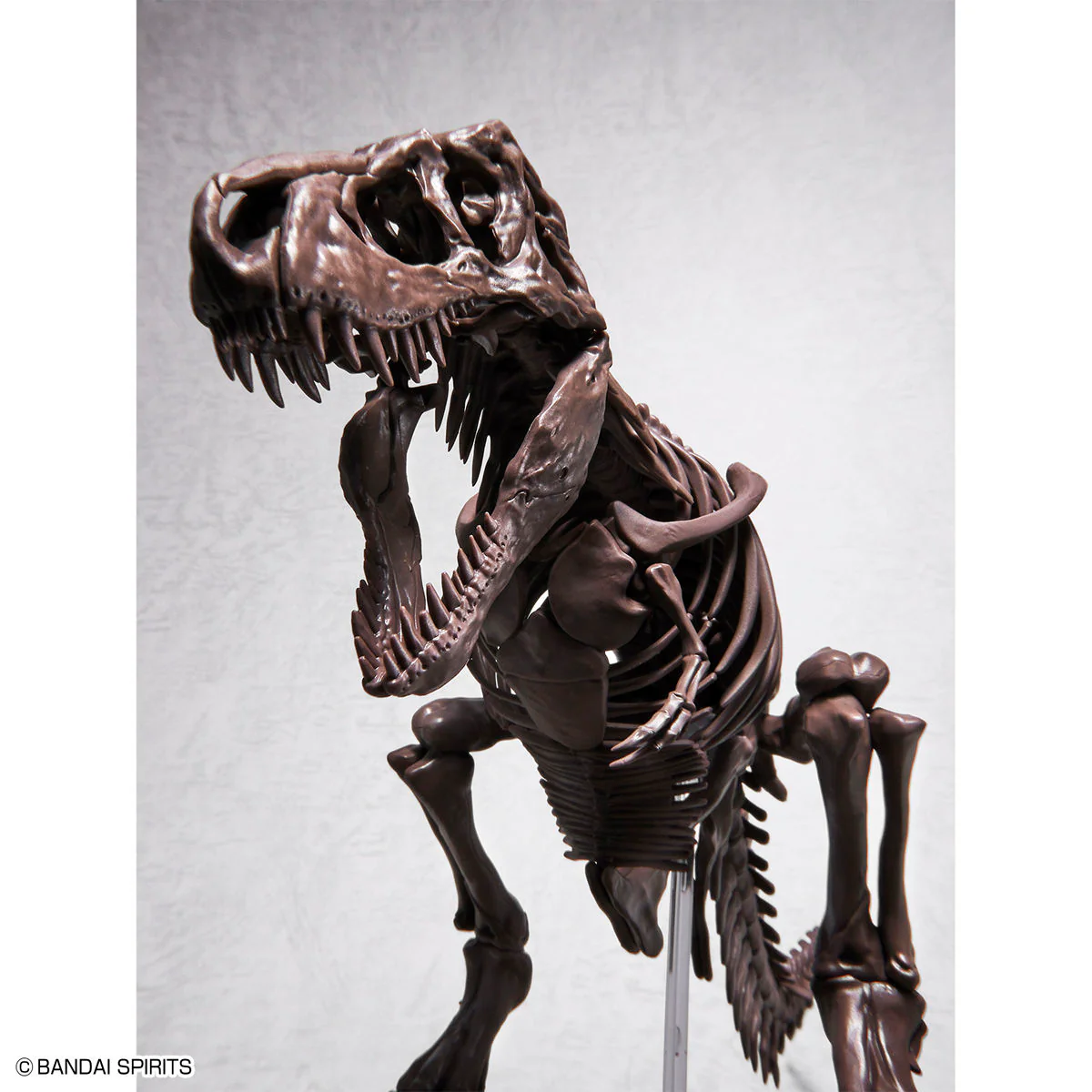 Imaginary Skeleton Tyrannosaurus 1/32 Scale Model Kit - Image 9