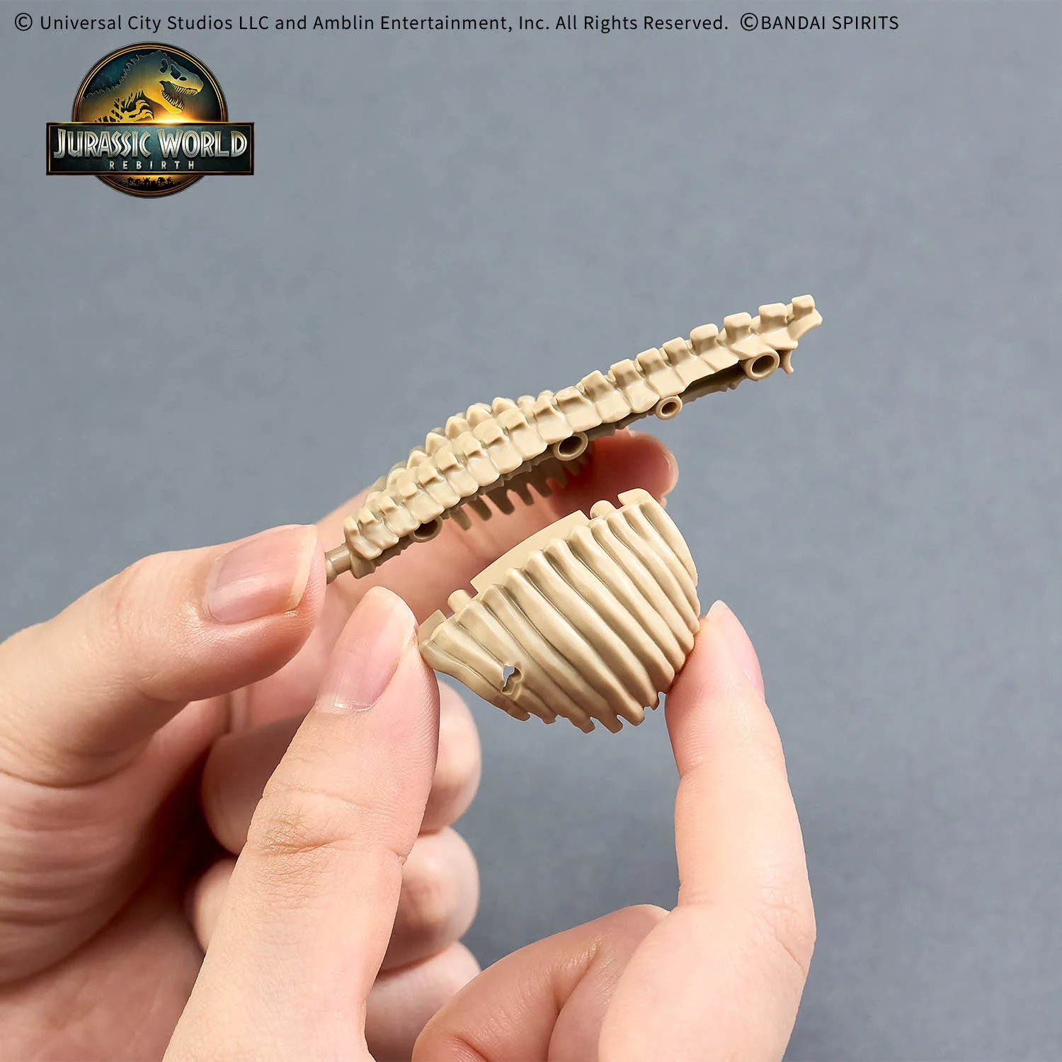 Jurassic World Rebirth Plannosaurus T-Rex Model Kit - Image 13