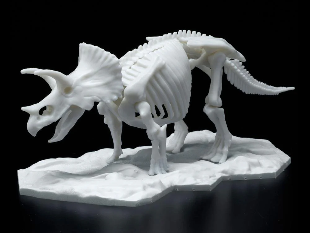Limex Dinosaur Skeleton Triceratops Model Kit - Image 2