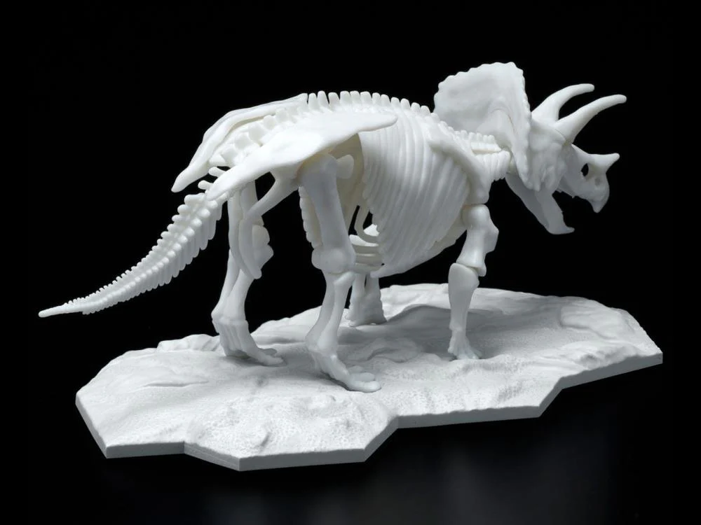 Limex Dinosaur Skeleton Triceratops Model Kit - Image 3