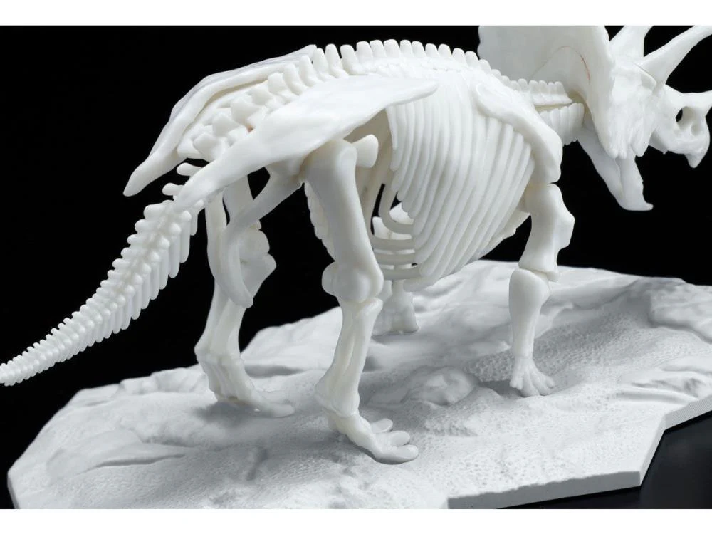Limex Dinosaur Skeleton Triceratops Model Kit - Image 4