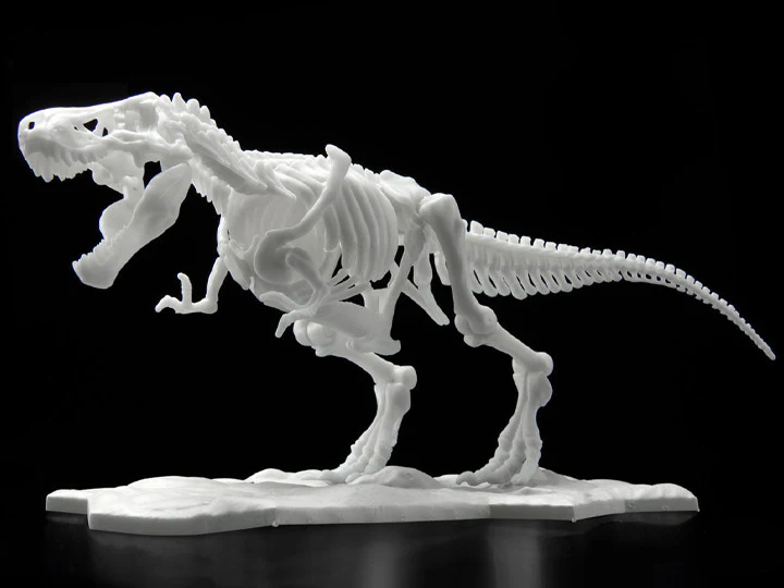 Limex Dinosaur Skeleton Tyrannosaurus Rex Model Kit