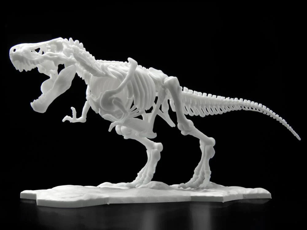 Limex Dinosaur Skeleton Tyrannosaurus Rex Model Kit - Image 2