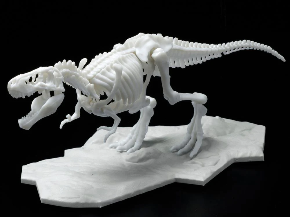 Limex Dinosaur Skeleton Tyrannosaurus Rex Model Kit - Image 3