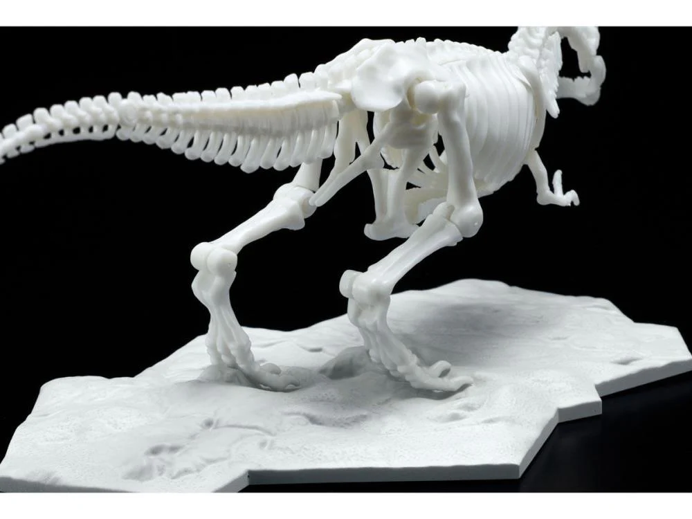 Limex Dinosaur Skeleton Tyrannosaurus Rex Model Kit - Image 4
