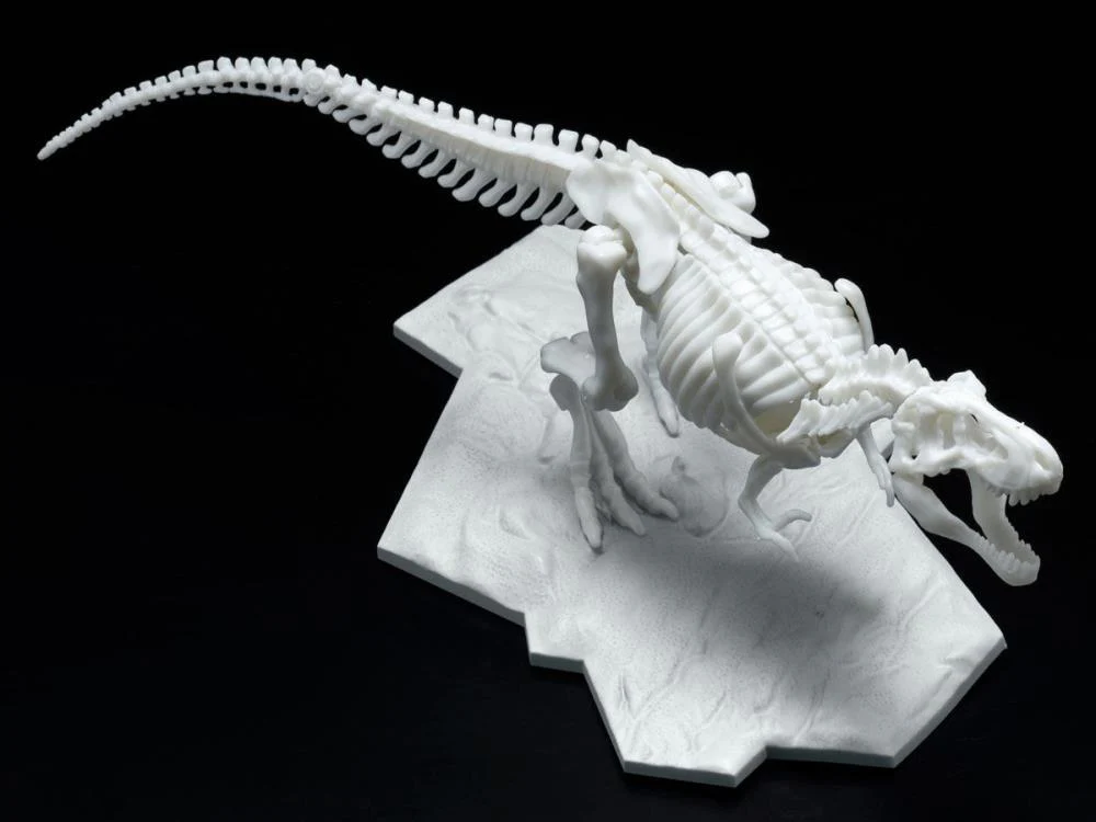 Limex Dinosaur Skeleton Tyrannosaurus Rex Model Kit - Image 5