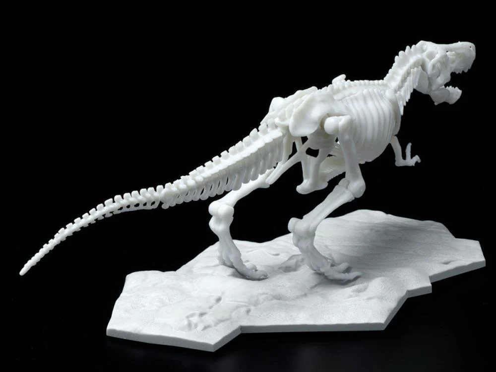 Limex Dinosaur Skeleton Tyrannosaurus Rex Model Kit - Image 6
