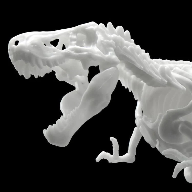Limex Dinosaur Skeleton Tyrannosaurus Rex Model Kit - Image 7