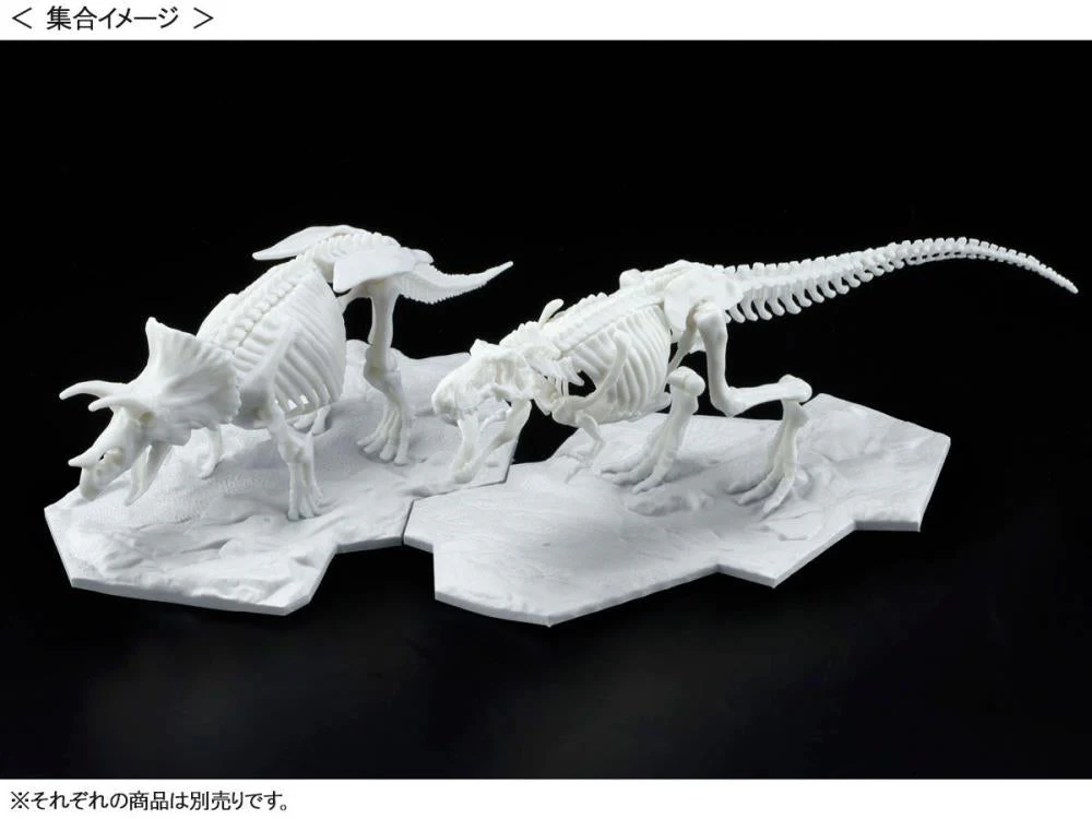 Limex Dinosaur Skeleton Tyrannosaurus Rex Model Kit - Image 8