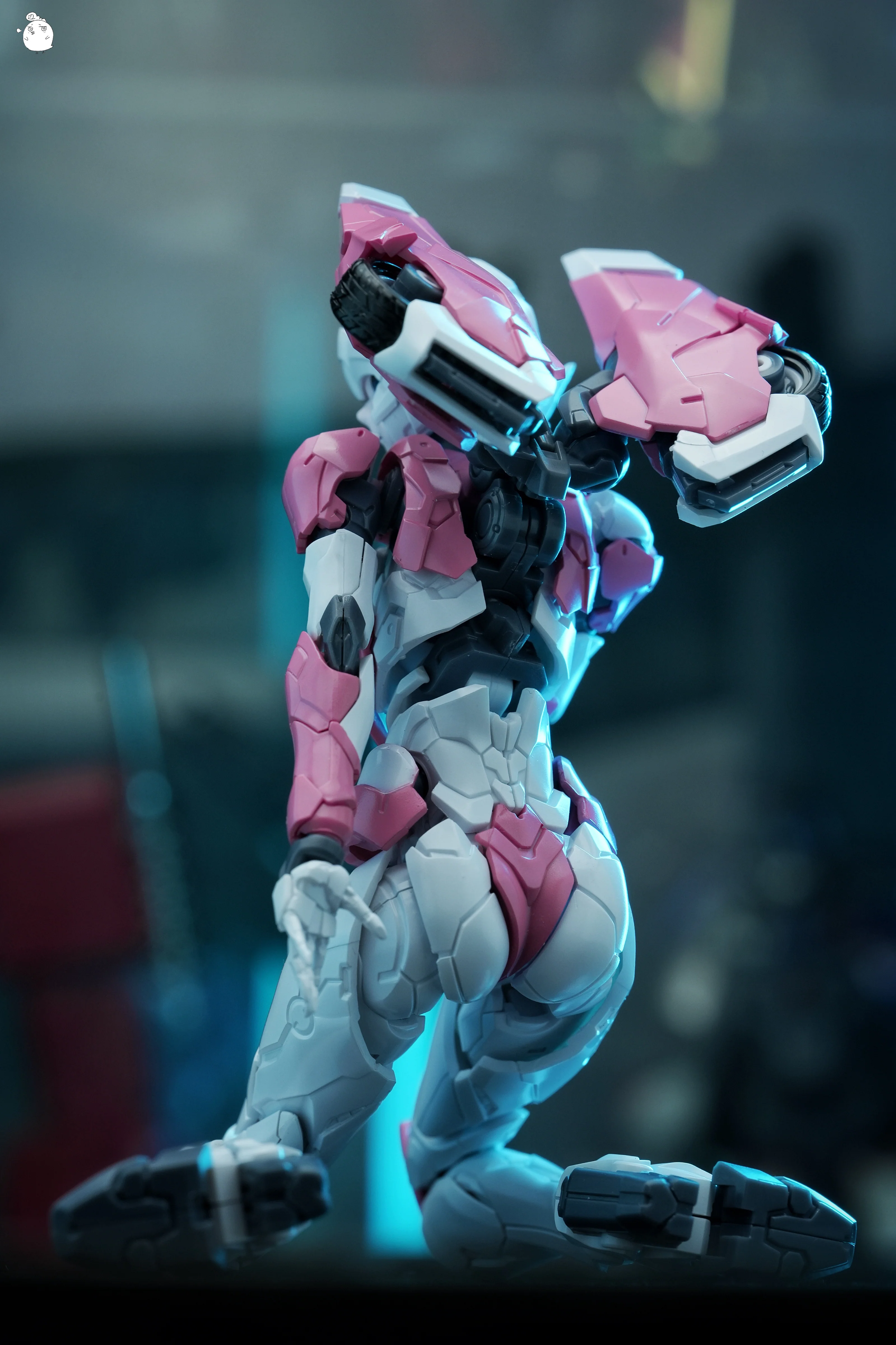 MD Model Arcee Pink Edition - Image 5