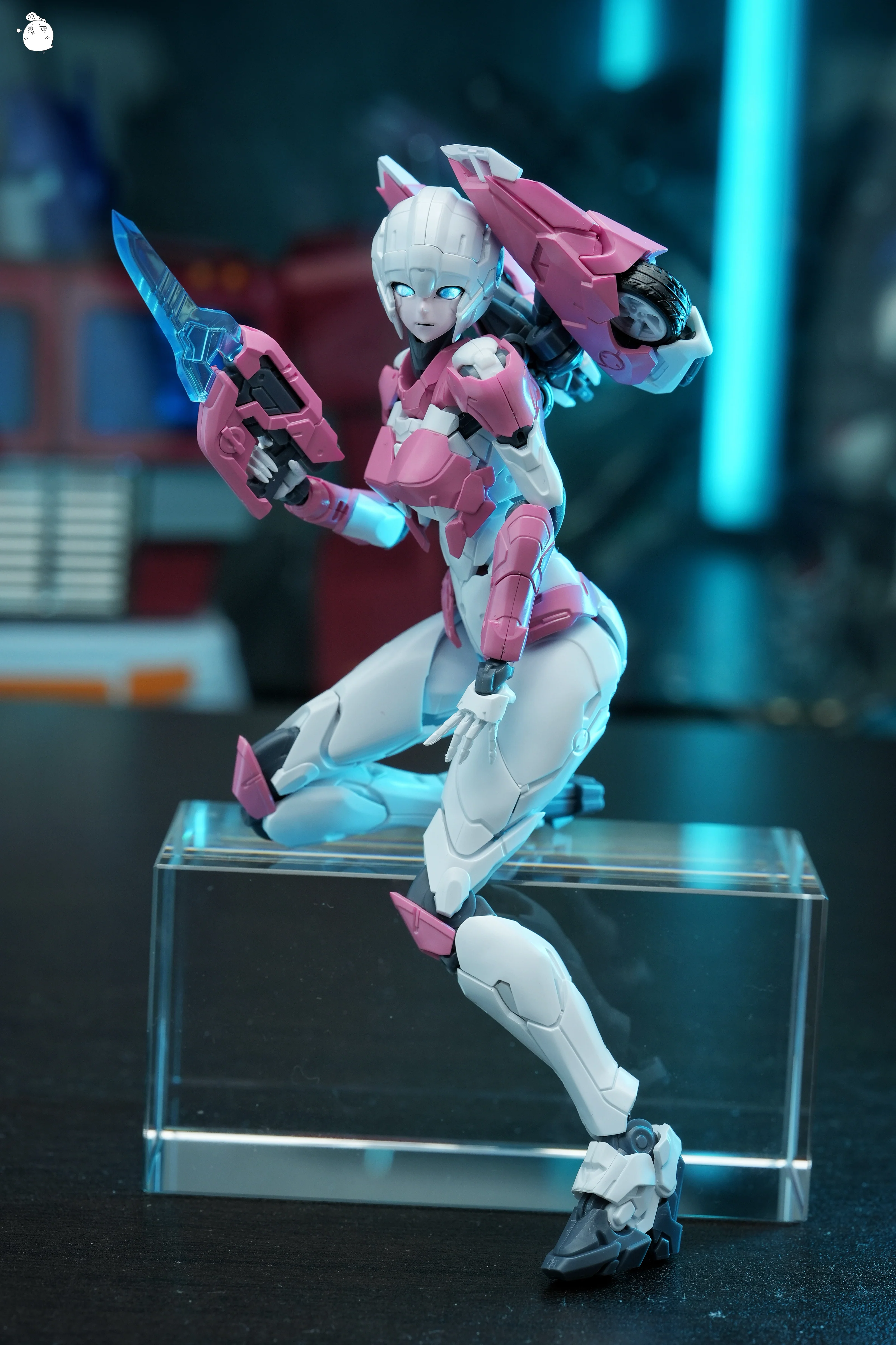 MD Model Arcee Pink Edition - Image 6