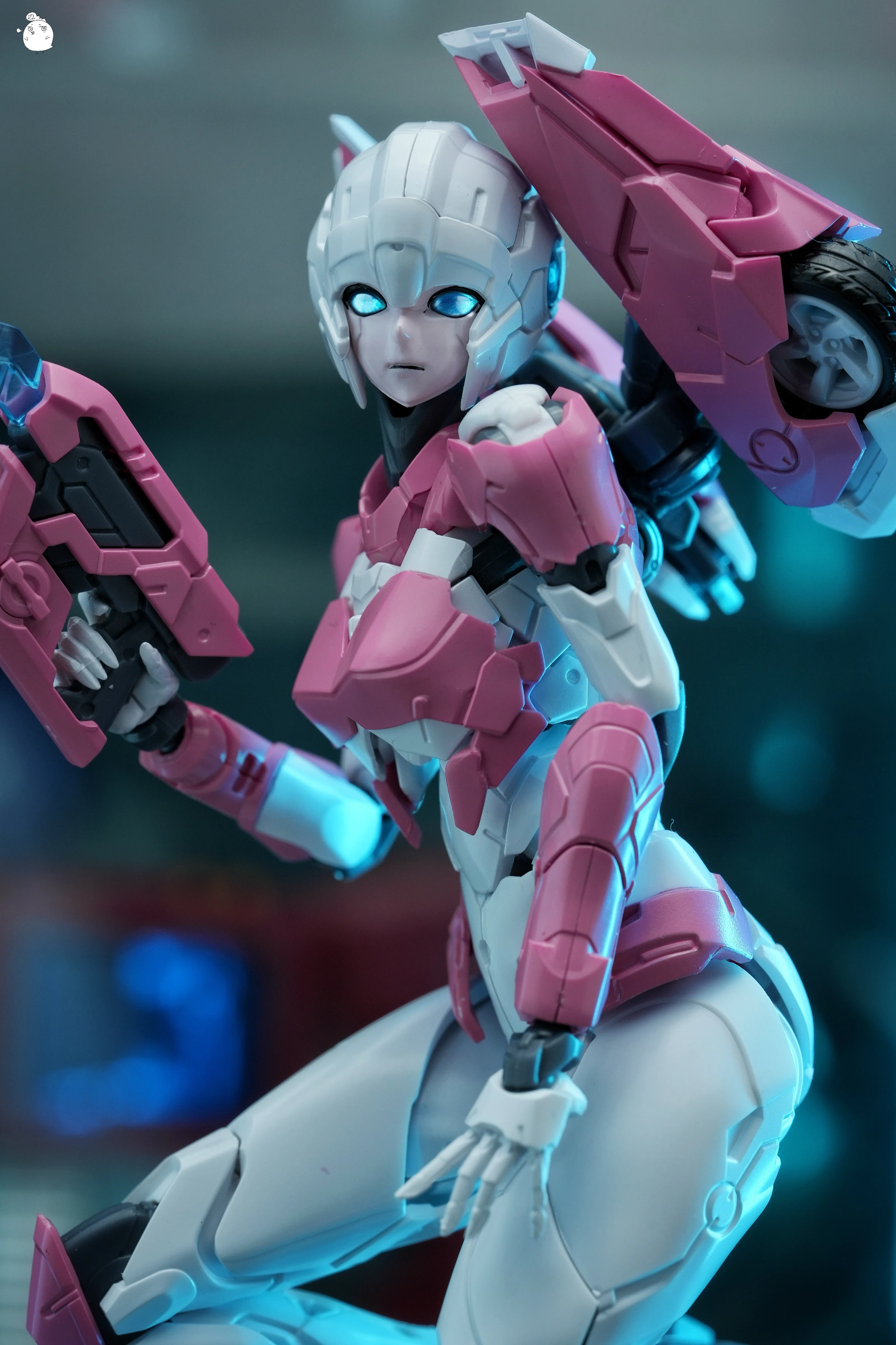 MD Model Arcee Pink Edition - Image 7