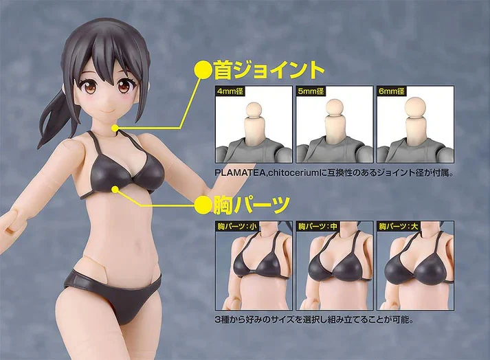 PLAMATEA Muse Body Ichika (Bikini Ver. A Type) Model Kit - Image 6