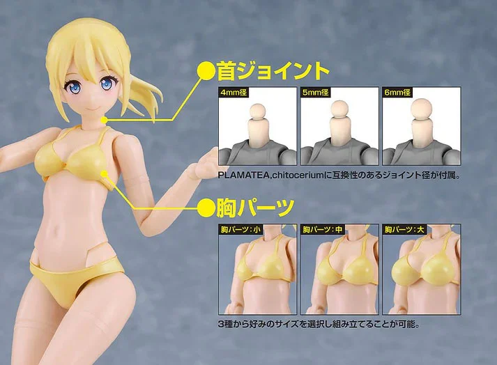 PLAMATEA Muse Body Ichika (Bikini Ver. B Type) Model Kit - Image 6