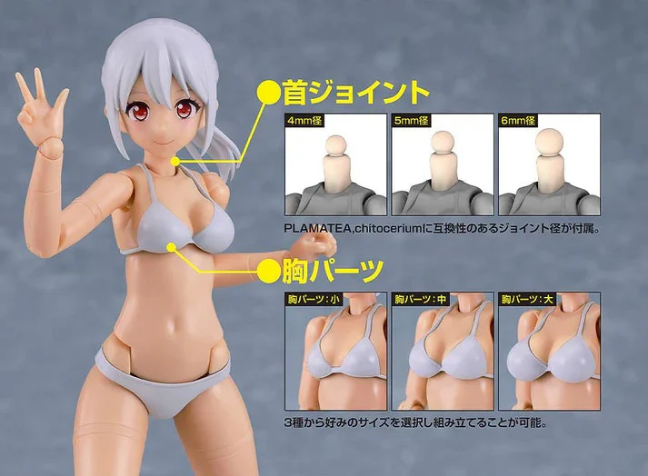 PLAMATEA Muse Body Ichika (Bikini Ver. C Type) Model Kit - Image 6
