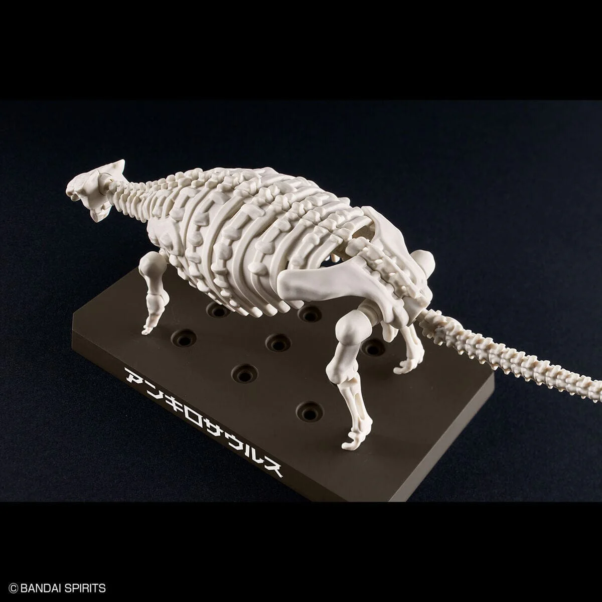 Plannosaurus Ankylosaurus Model Kit - Image 13