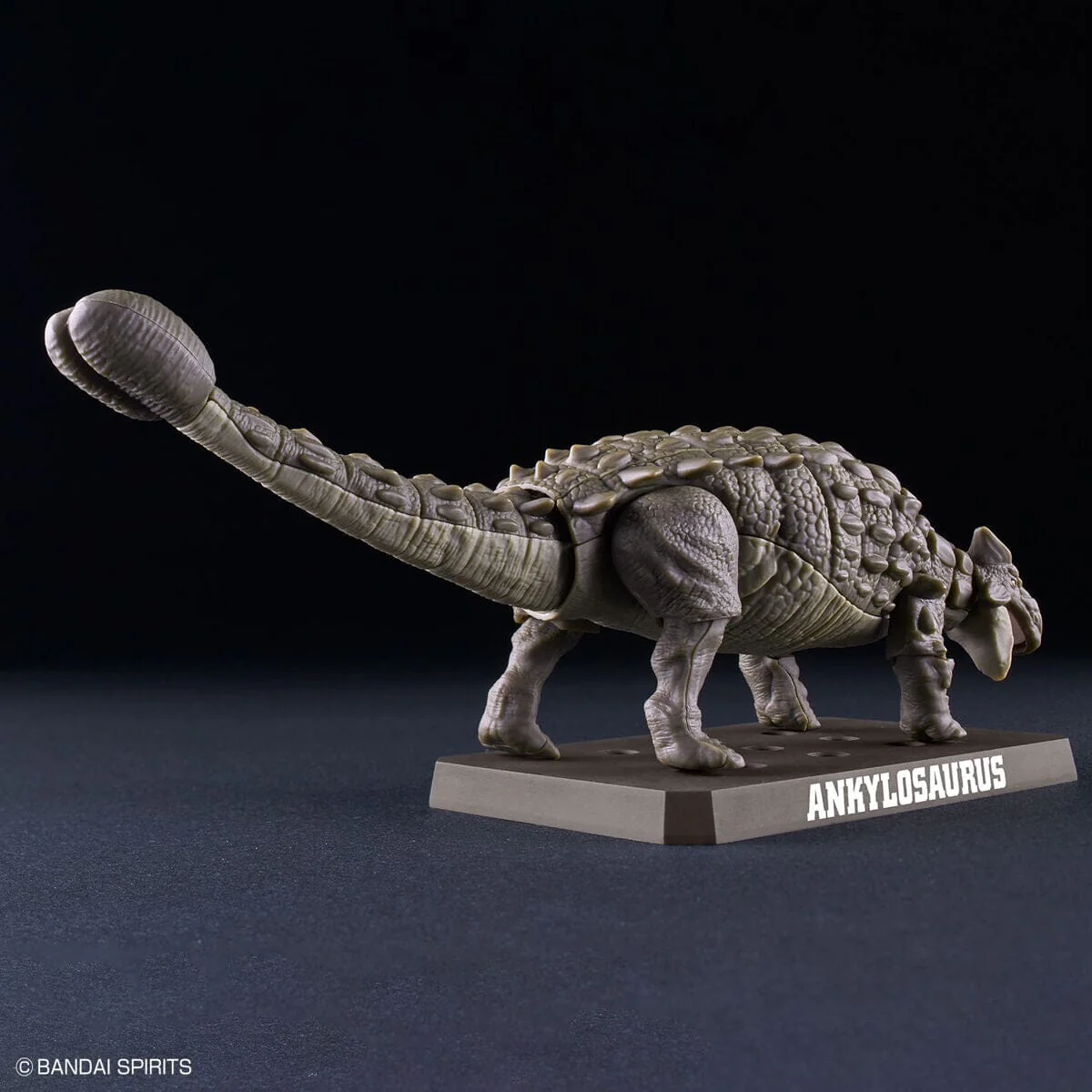 Plannosaurus Ankylosaurus Model Kit - Image 4