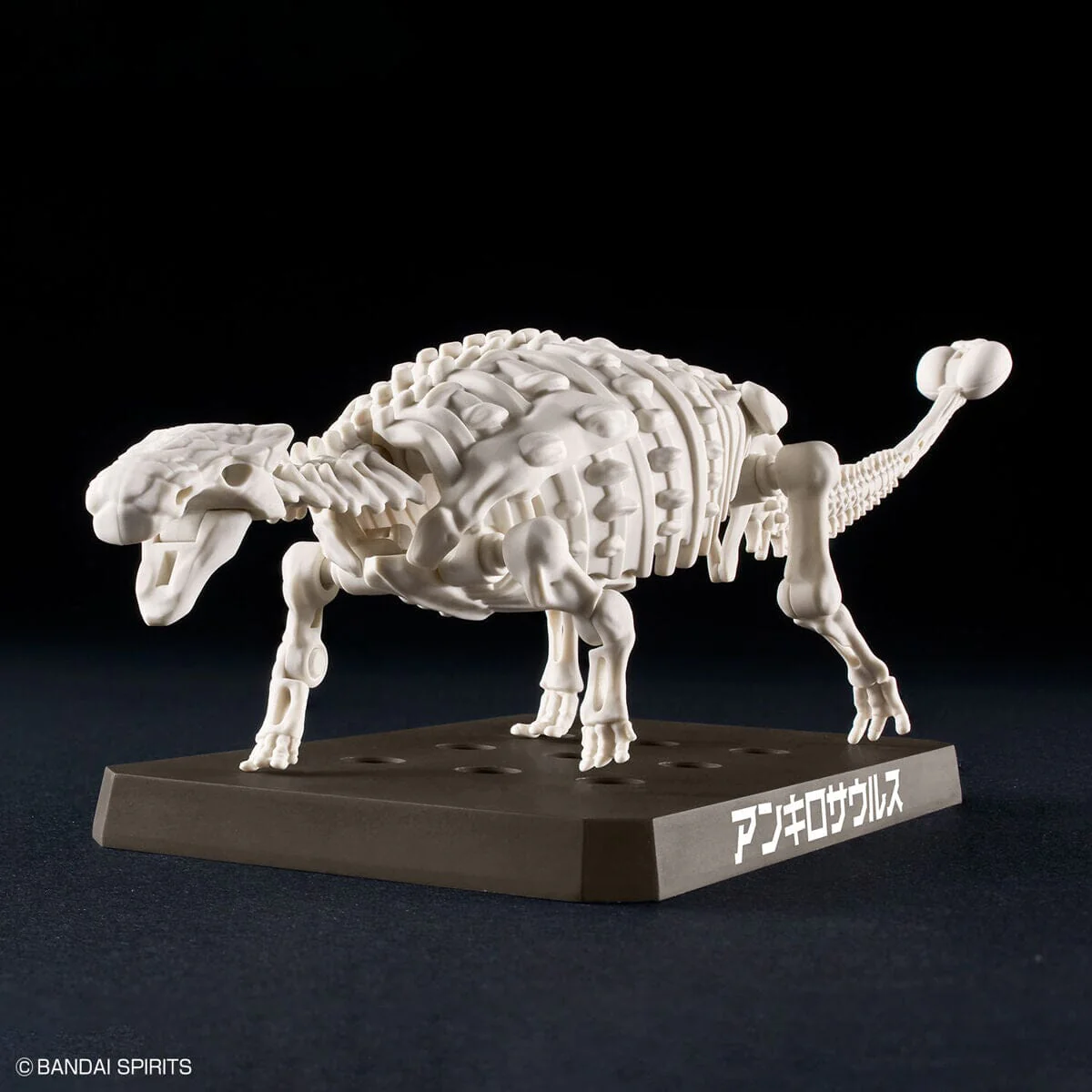 Plannosaurus Ankylosaurus Model Kit - Image 9