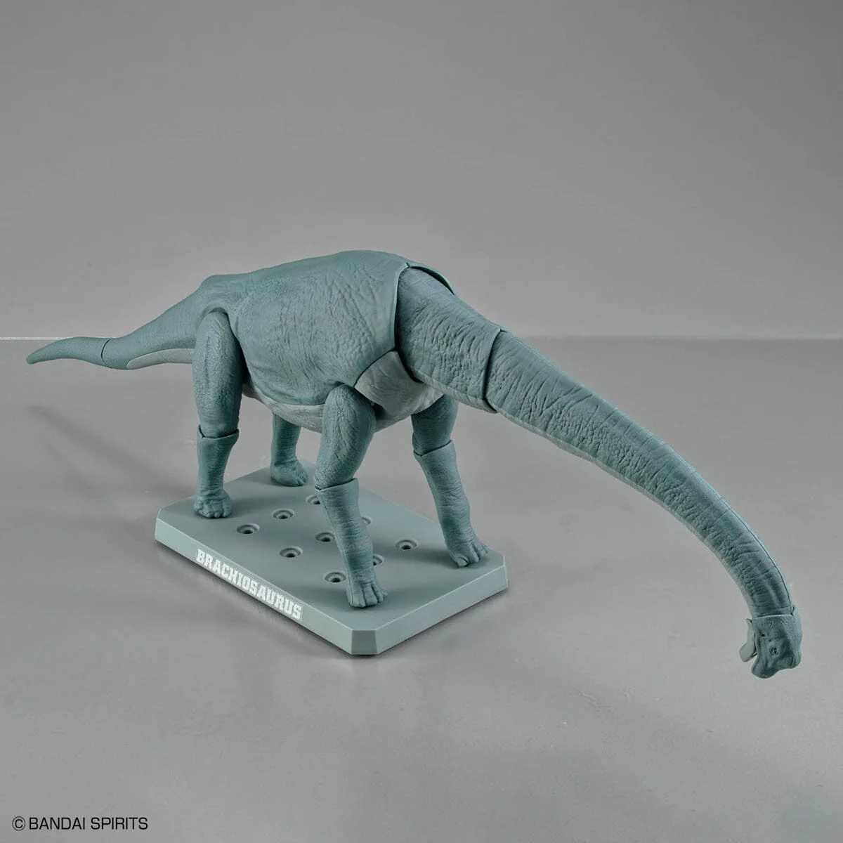 Plannosaurus Brachiosaurus Model Kit - Image 10