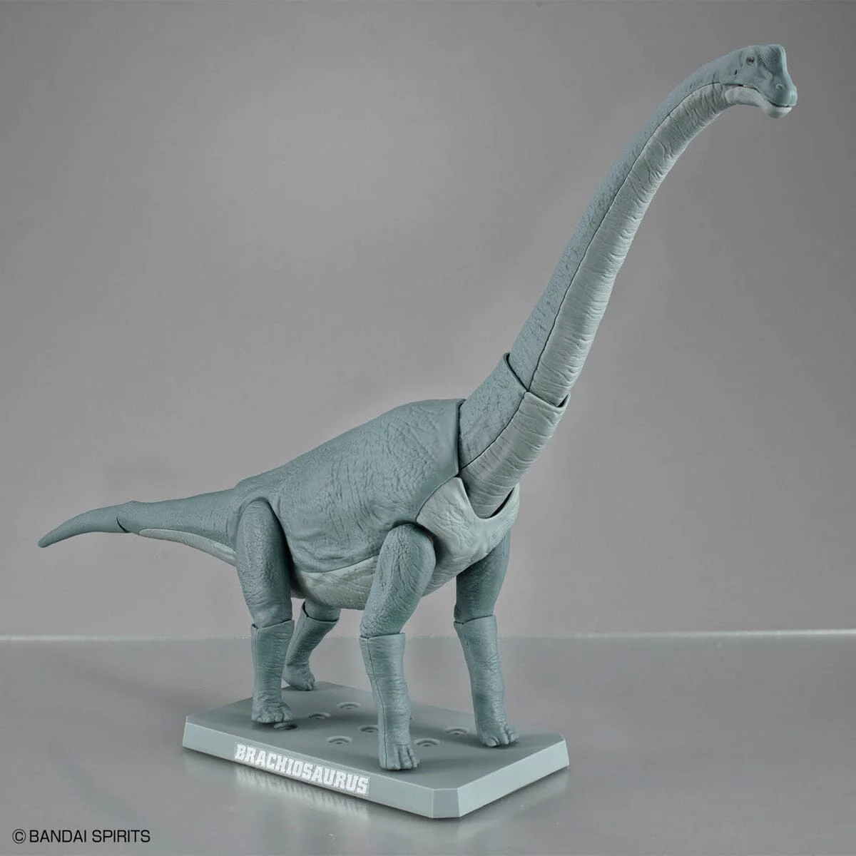 Plannosaurus Brachiosaurus Model Kit - Image 12