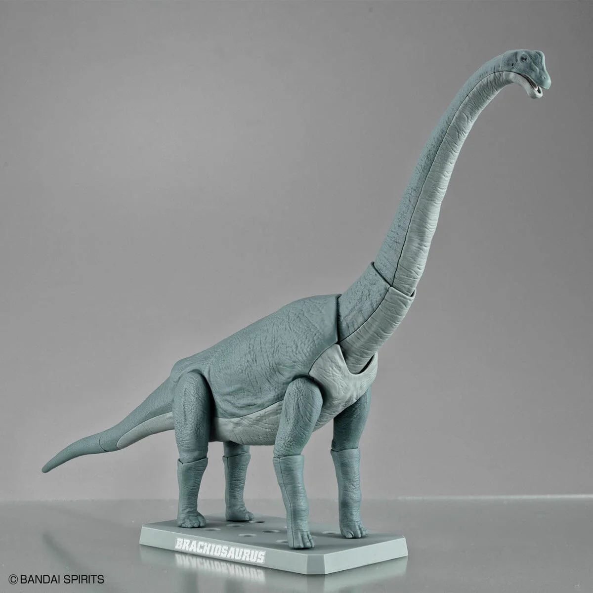 Plannosaurus Brachiosaurus Model Kit - Image 13