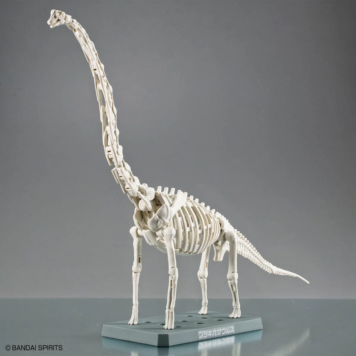 Plannosaurus Brachiosaurus Model Kit - Image 4