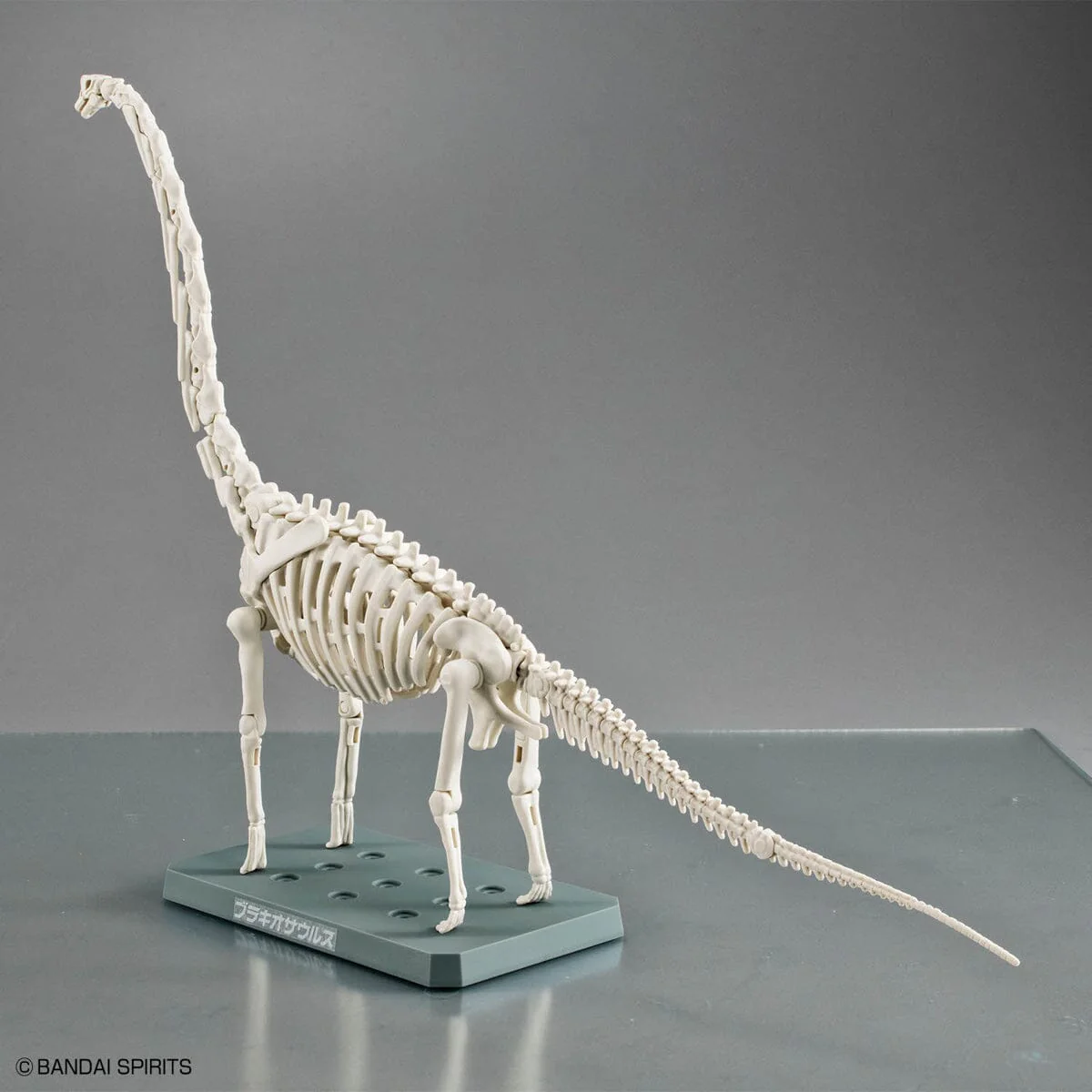 Plannosaurus Brachiosaurus Model Kit - Image 6