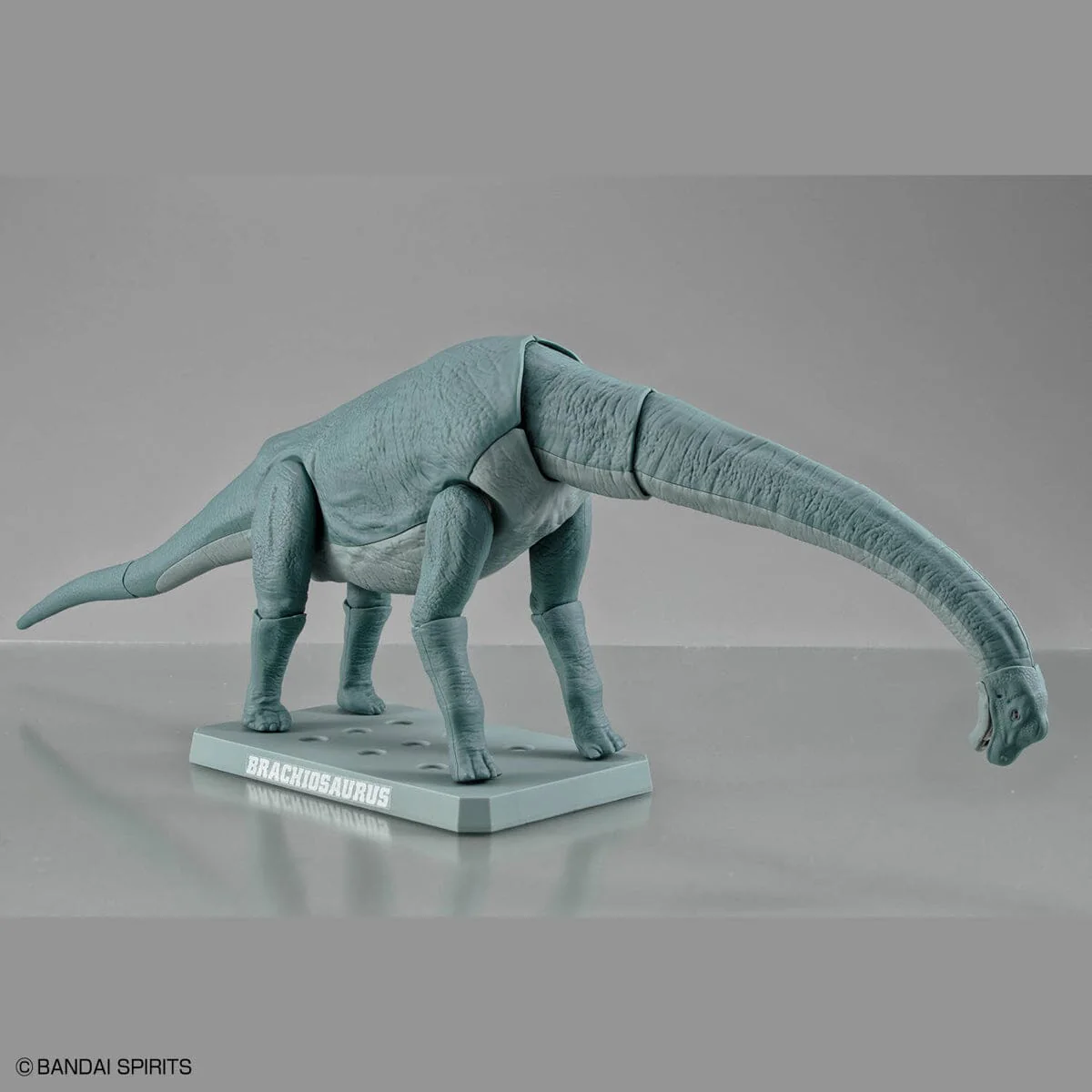 Plannosaurus Brachiosaurus Model Kit - Image 9
