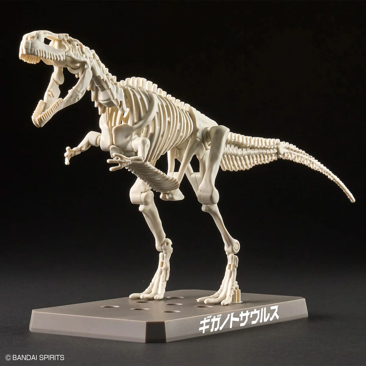 Plannosaurus Giganotosaurus Model Kit - Image 10