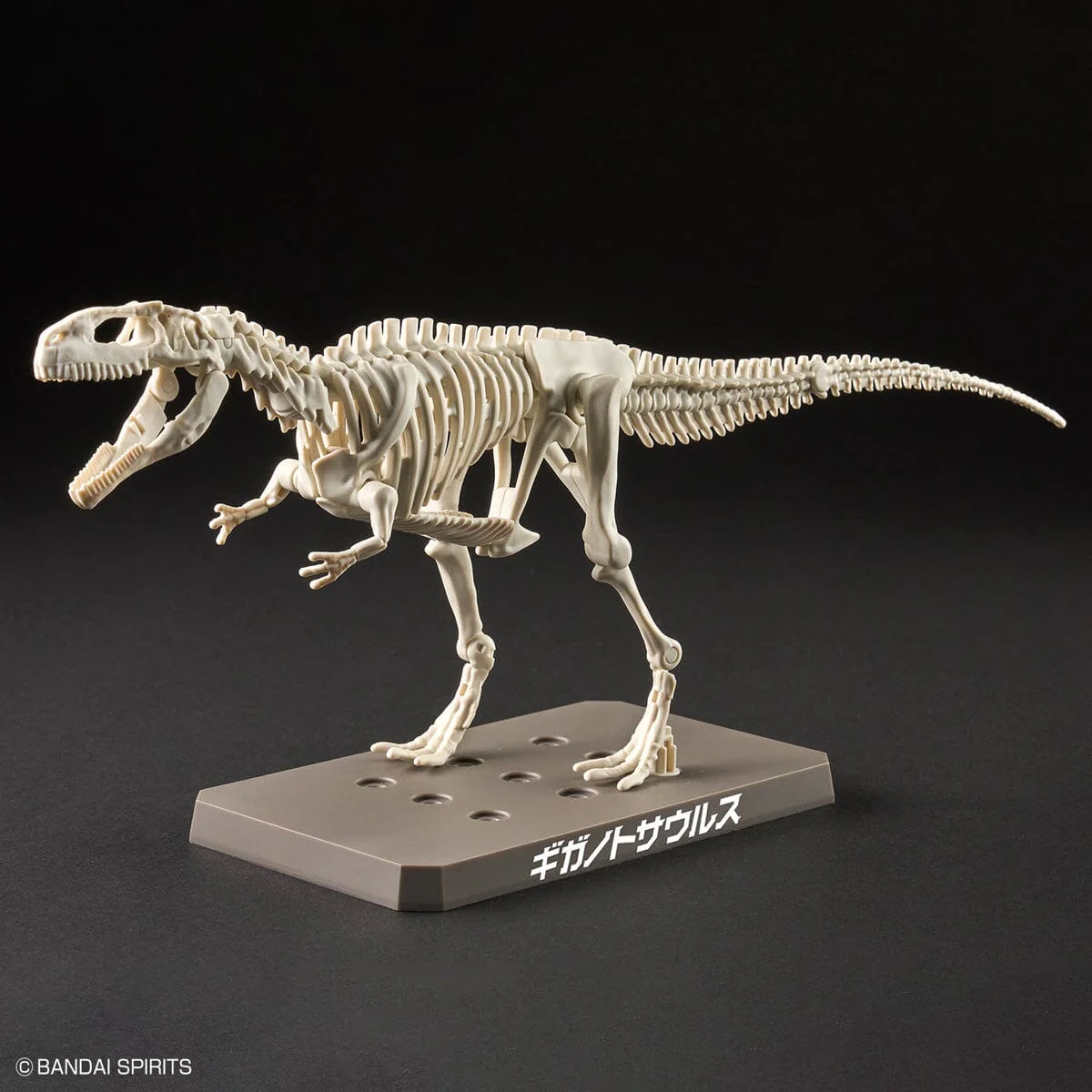Plannosaurus Giganotosaurus Model Kit - Image 11
