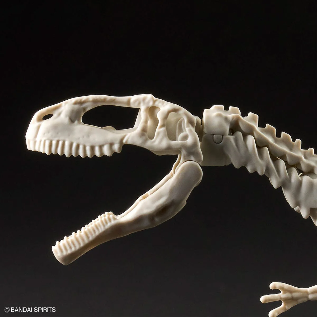 Plannosaurus Giganotosaurus Model Kit - Image 12