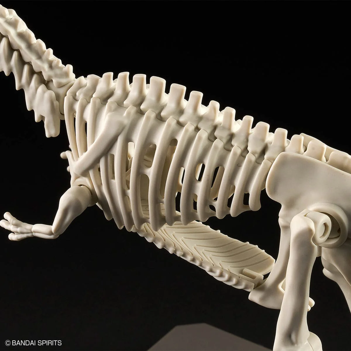 Plannosaurus Giganotosaurus Model Kit - Image 13