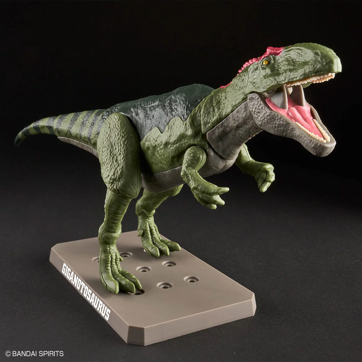 Plannosaurus Giganotosaurus Model Kit - Image 3