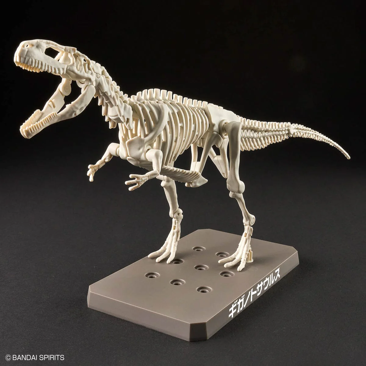 Plannosaurus Giganotosaurus Model Kit - Image 4