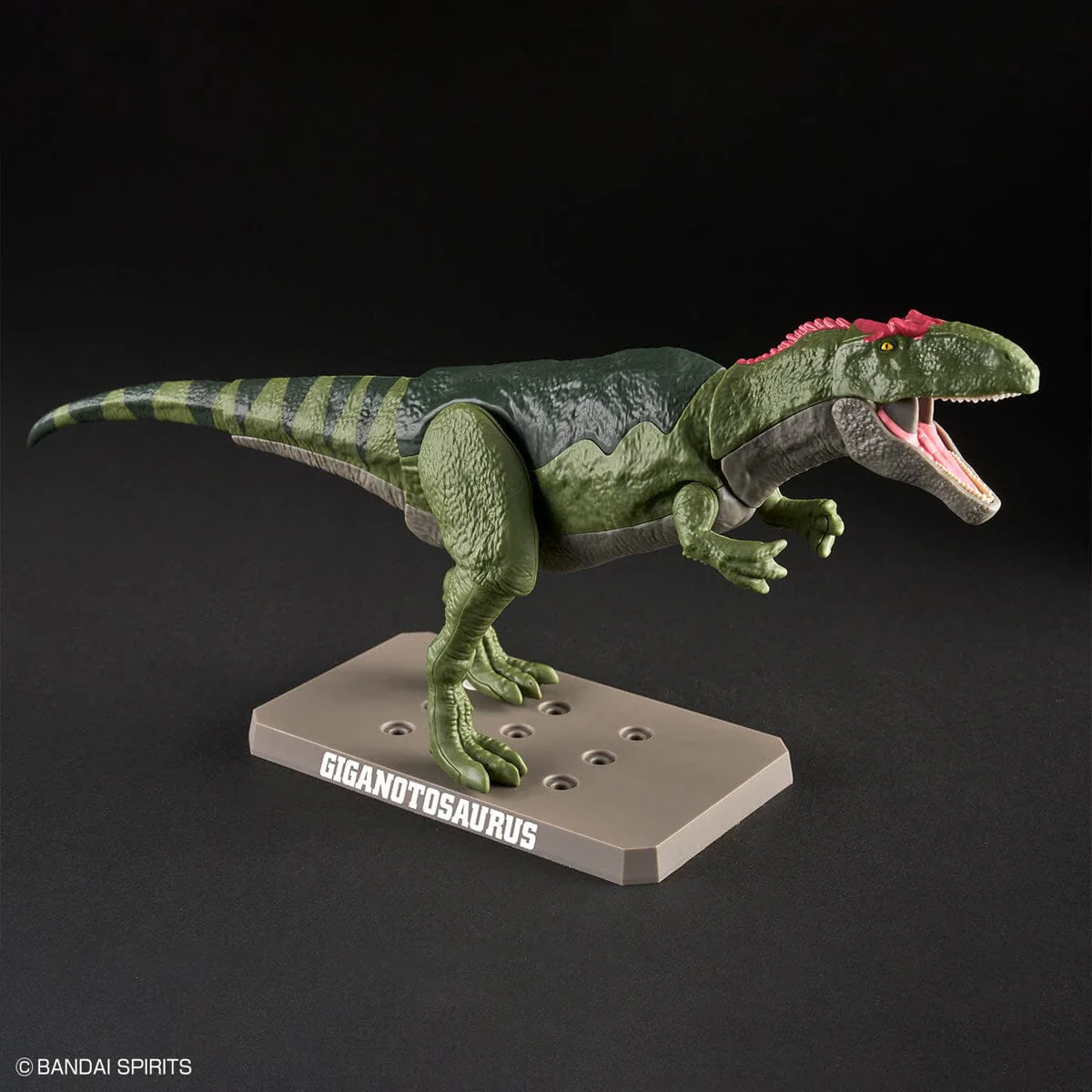 Plannosaurus Giganotosaurus Model Kit - Image 5