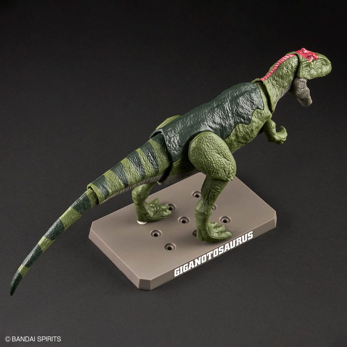 Plannosaurus Giganotosaurus Model Kit - Image 6