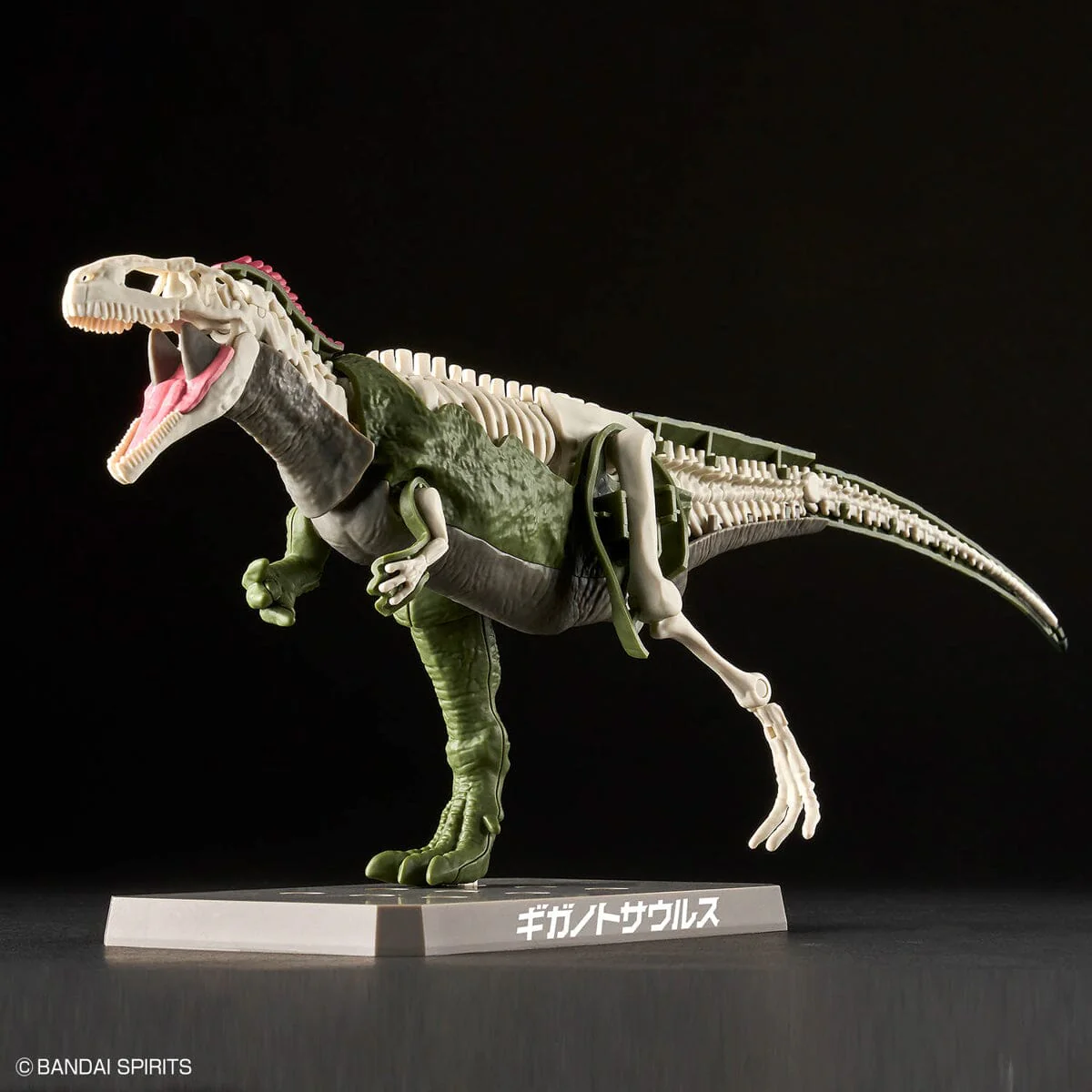 Plannosaurus Giganotosaurus Model Kit - Image 8