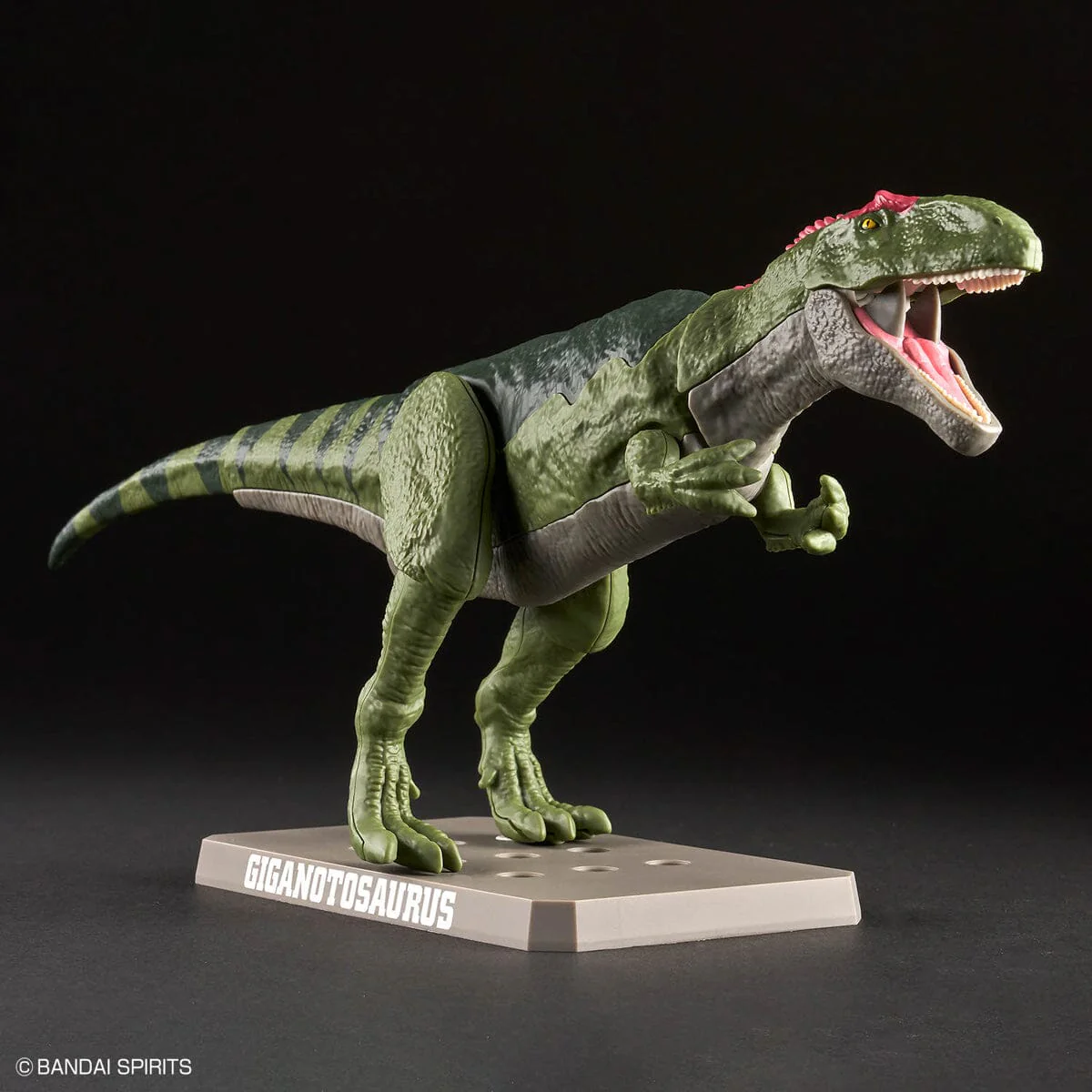 Plannosaurus Giganotosaurus Model Kit - Image 9