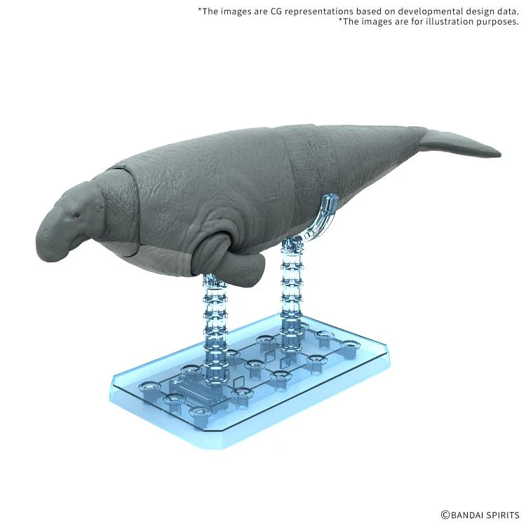 Plannosaurus Hydrodamalis Gigas Model Kit - Image 2