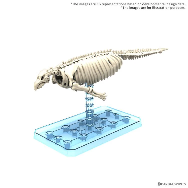 Plannosaurus Hydrodamalis Gigas Model Kit - Image 3