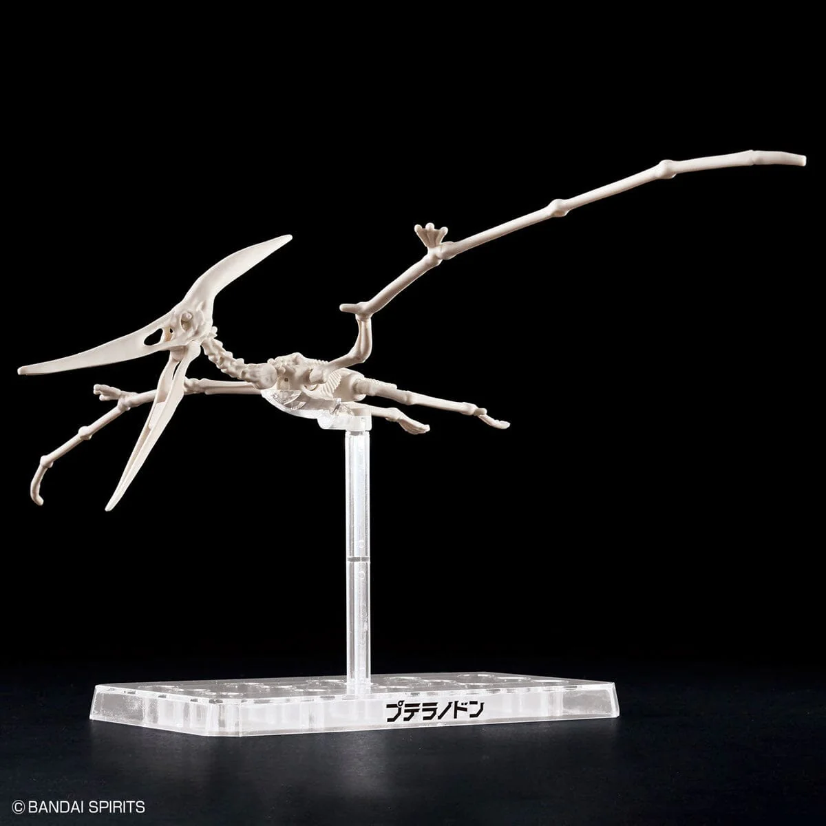 Plannosaurus Pteranodon Model Kit - Image 10