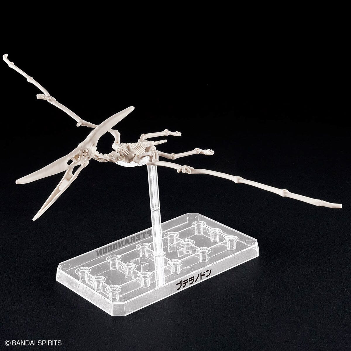 Plannosaurus Pteranodon Model Kit - Image 11