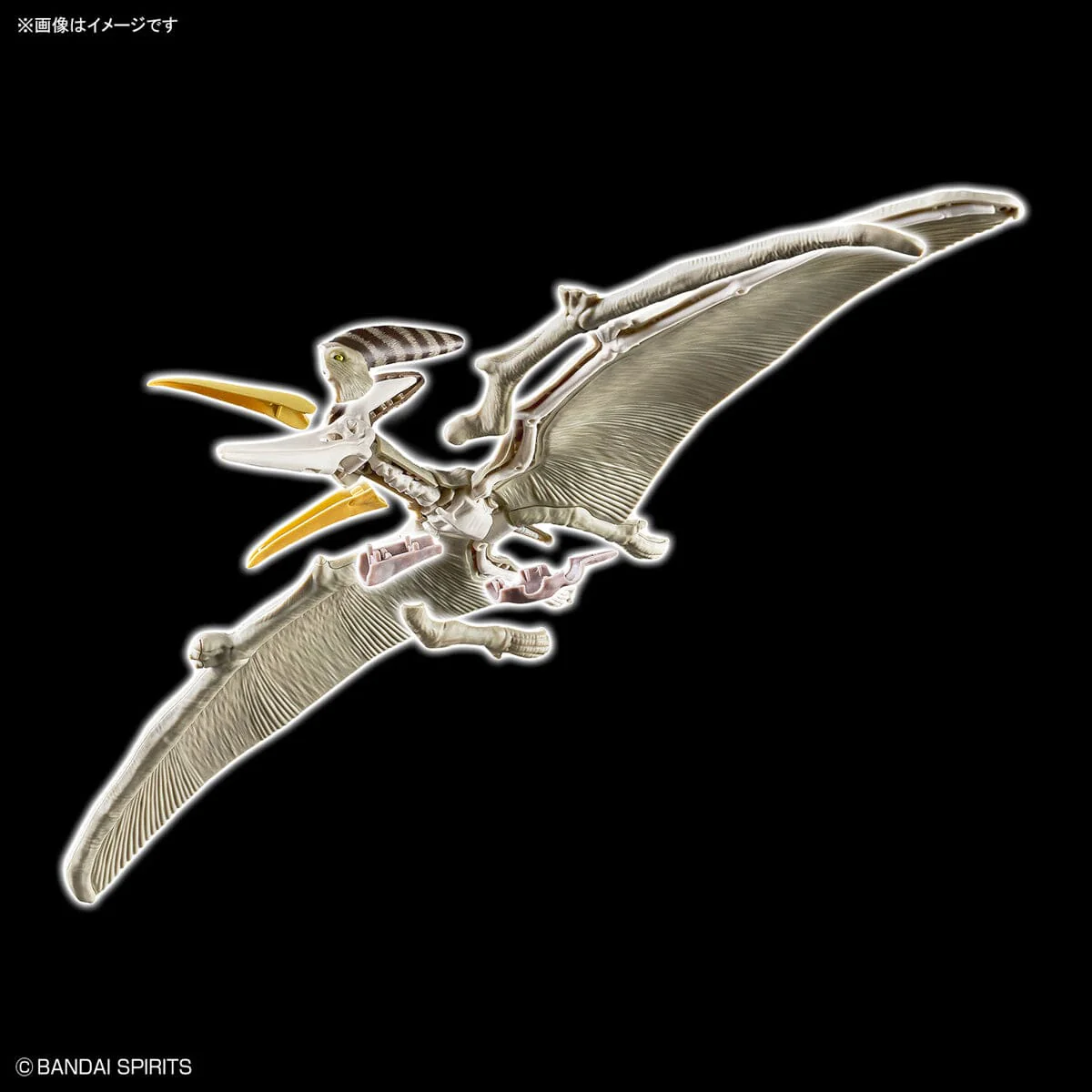 Plannosaurus Pteranodon Model Kit - Image 12