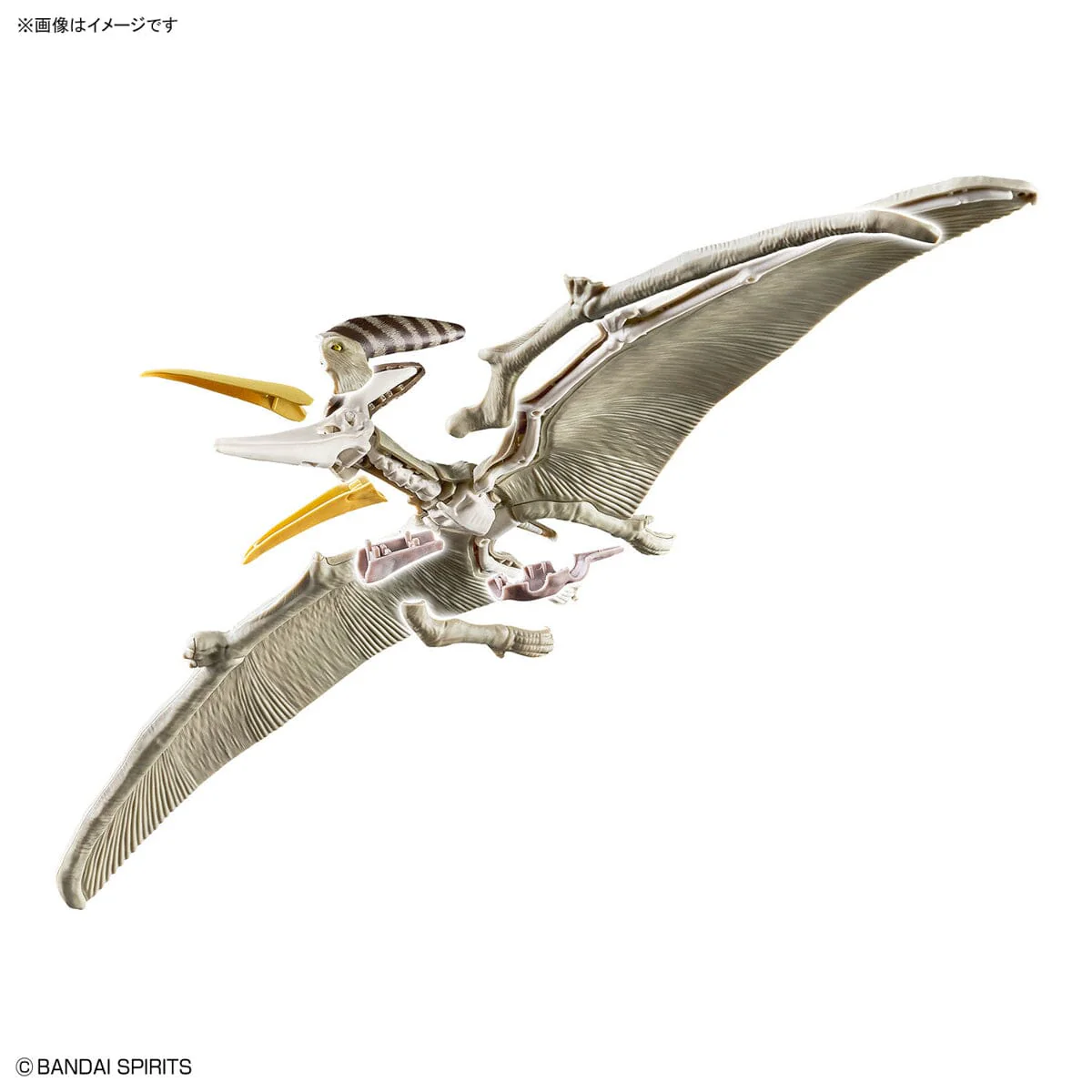 Plannosaurus Pteranodon Model Kit - Image 13