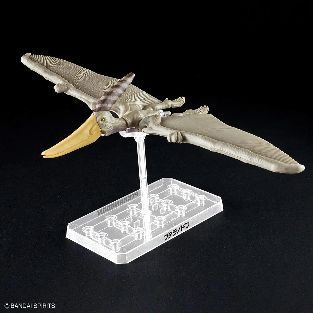 Plannosaurus Pteranodon Model Kit - Image 3