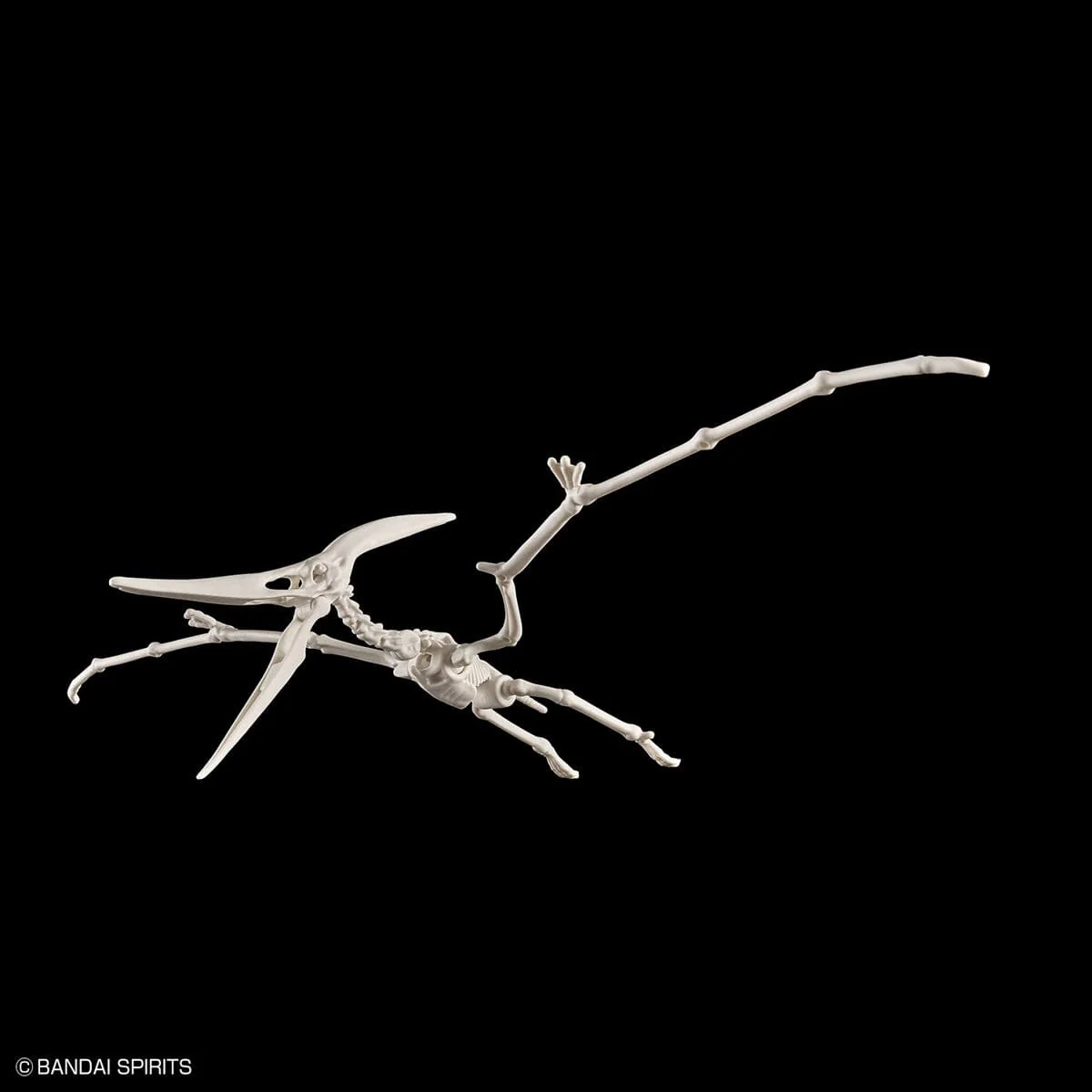 Plannosaurus Pteranodon Model Kit - Image 4