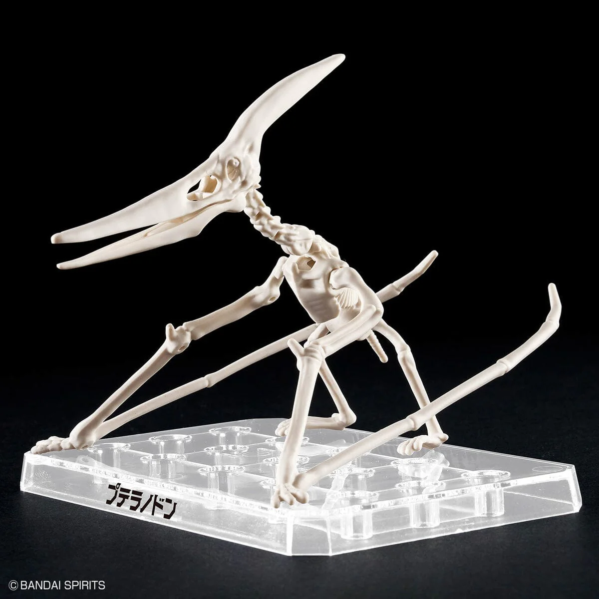Plannosaurus Pteranodon Model Kit - Image 6