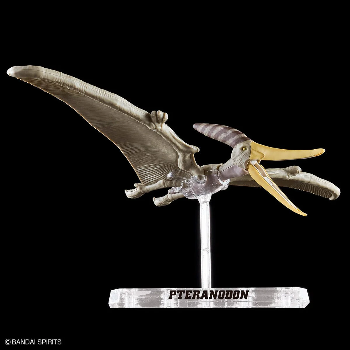 Plannosaurus Pteranodon Model Kit - Image 7